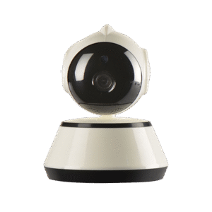 Donec ullamcorper turpis